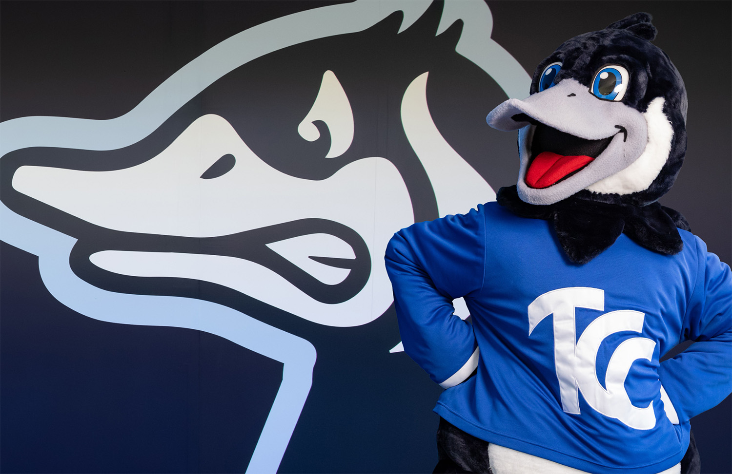 TCC Canada Goose Mascot, Blue poses in front of a large mural of his logo likeness.